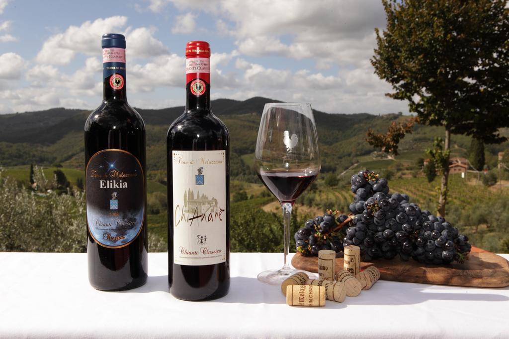 Terre Di Melazzano - Le Case Di Chiara グレーヴェ・イン・キアンティ エクステリア 写真