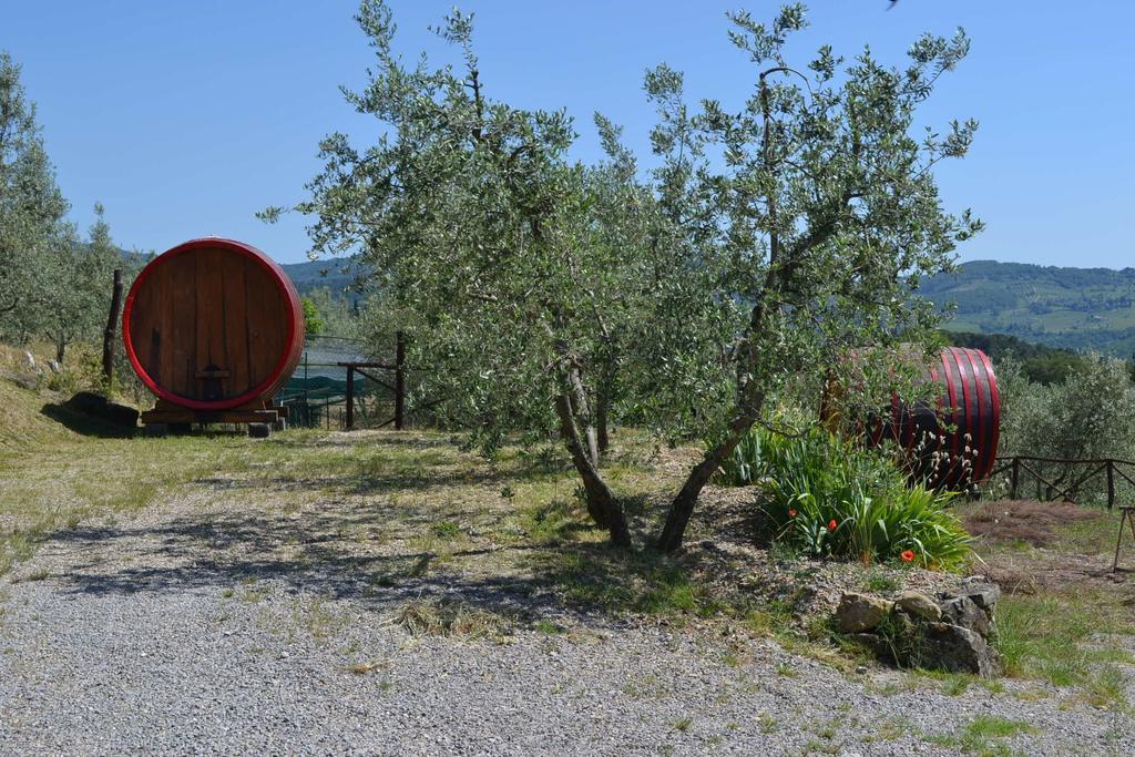 Terre Di Melazzano - Le Case Di Chiara グレーヴェ・イン・キアンティ エクステリア 写真