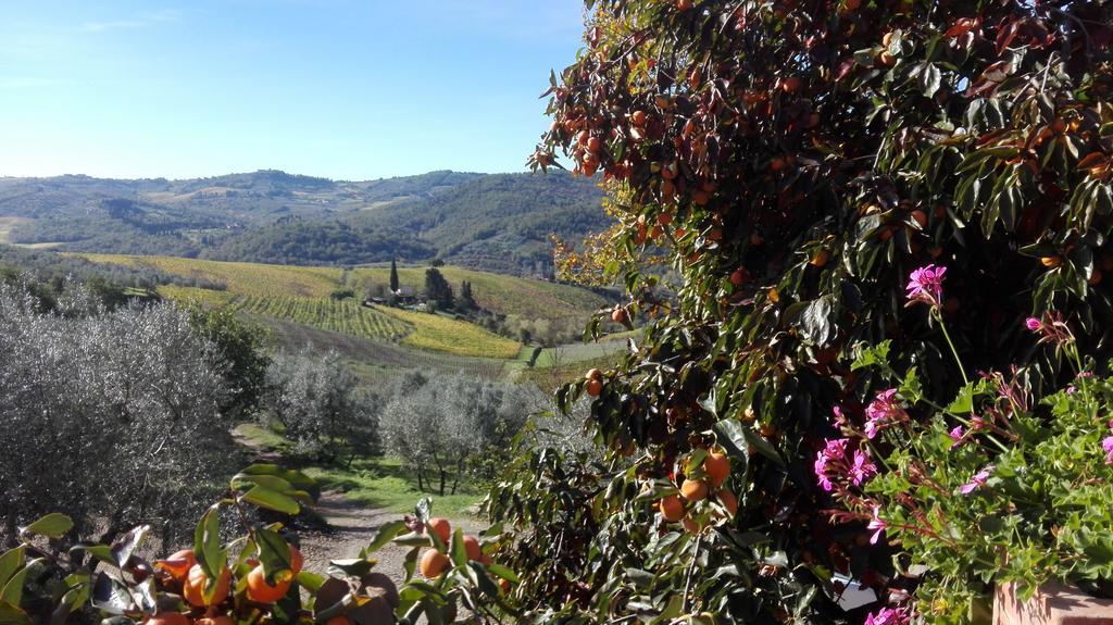 Terre Di Melazzano - Le Case Di Chiara グレーヴェ・イン・キアンティ エクステリア 写真