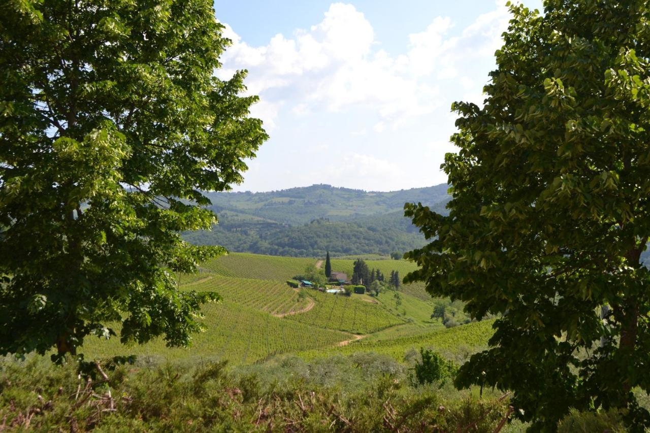 Terre Di Melazzano - Le Case Di Chiara グレーヴェ・イン・キアンティ エクステリア 写真
