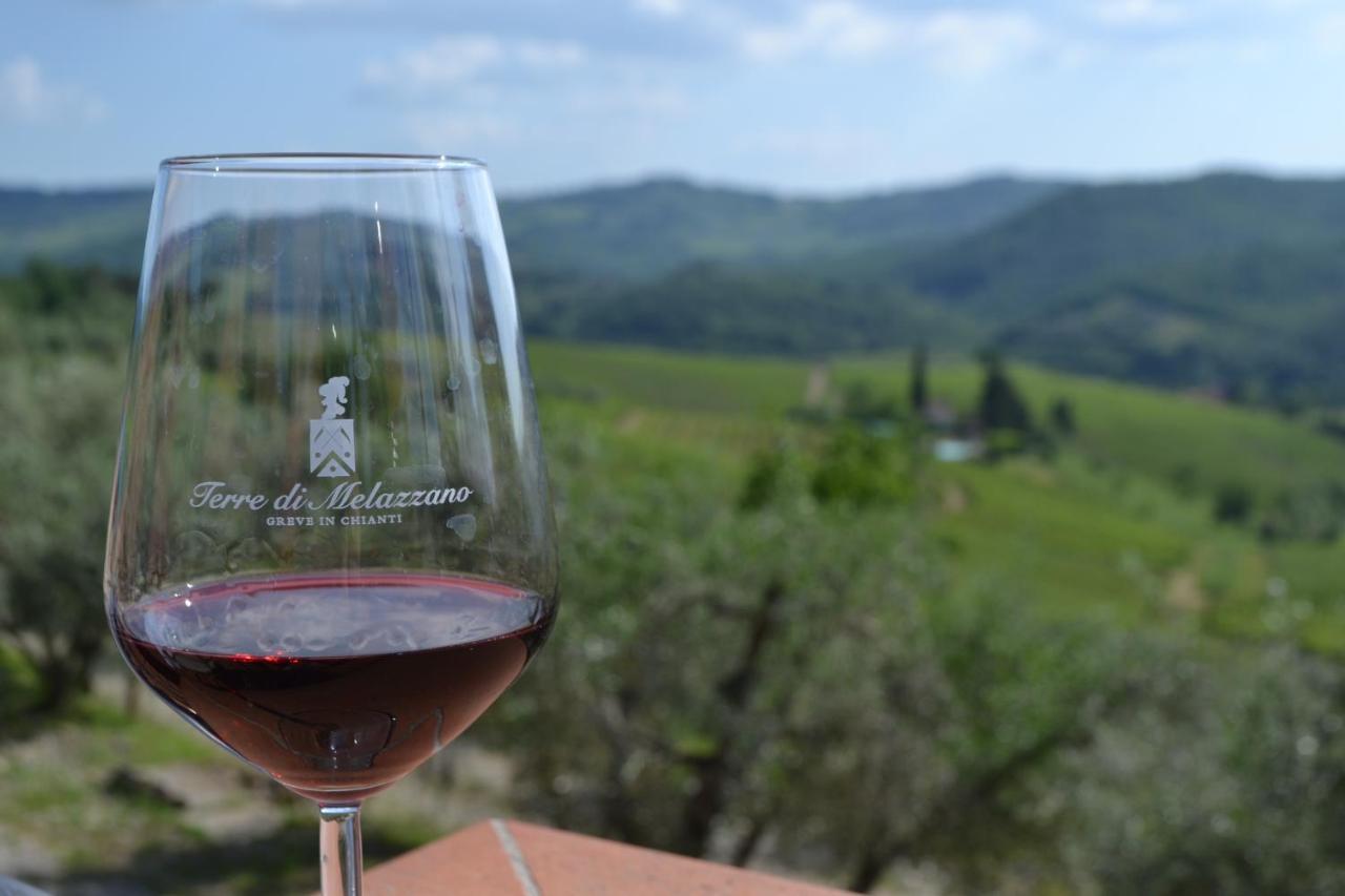 Terre Di Melazzano - Le Case Di Chiara グレーヴェ・イン・キアンティ エクステリア 写真