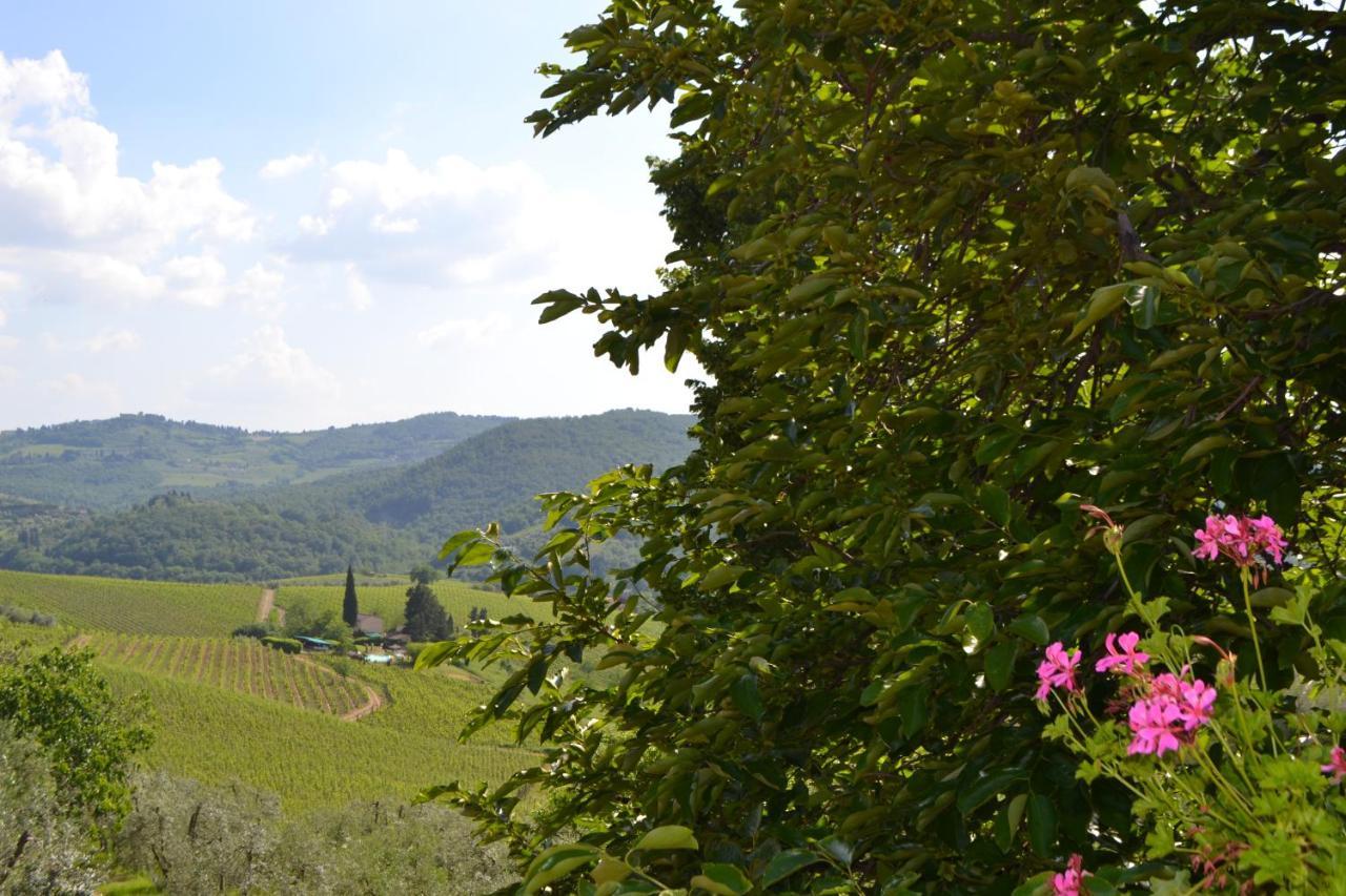 Terre Di Melazzano - Le Case Di Chiara グレーヴェ・イン・キアンティ エクステリア 写真